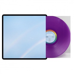 Never Enough (LP)