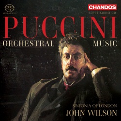 Orchestral music (cd)