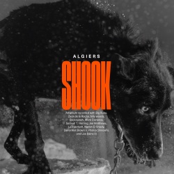 Shook (cd)