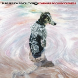 Coming Up To Consciousness (CD)