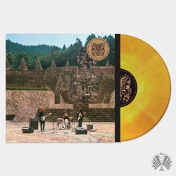 Levitation Sessions (LP)