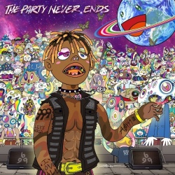 The Party Never Ends (LP)