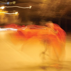 A Shadow In Time (cd)