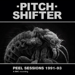 Peel Sessions 1991-93 (LP)