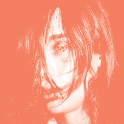 Microcastle/Weird Era Continued (2lp)