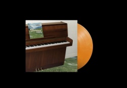 The Sophtware Slump ..... on a wooden piano (LP)