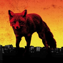 The Day Is My Enemy (cd)