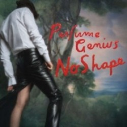 No Shape (2lp)