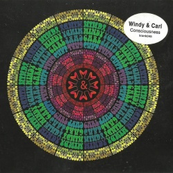 Consciousness (LP)