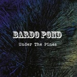 Under The Pines (cd)