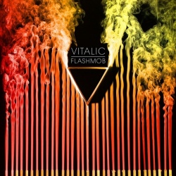 Flashmob (2LP)