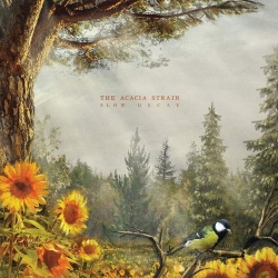 Slow decay (cd)