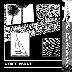Voice Wave (2LP)