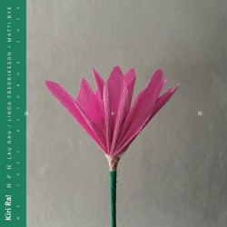 nen (cd)