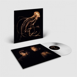 Back To The Water Below (LP)
