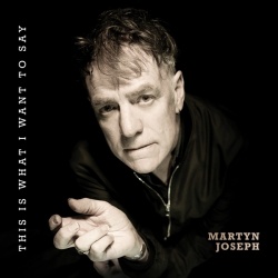 This Is What I Want To Say (LP)