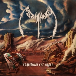 Tear Down The Walls (2CD)