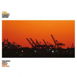 Common ground (lp)
