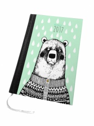 Viikkopäivyri 2017 Mira Mallius