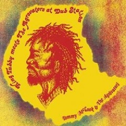 King Tubby Meets The Agrovators At Dub Station (cd)