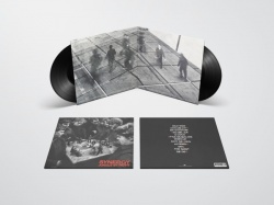 Synergy (2LP)