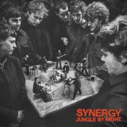 Synergy (CD)