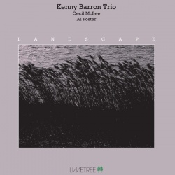 Landscape (LP)