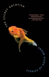 The Secret Goldfish