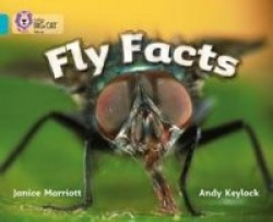 Fly Facts - Band 07/Turquoise
