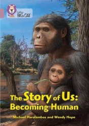 BIG CAT_STORY OF US