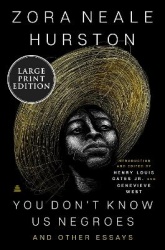 You Don't Know Us Negroes and Other Essays