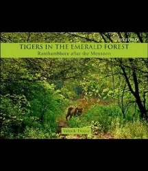 Tigers in the Emerald Forest - Ranthambhore after the Monsoon