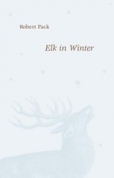 Elk in Winter
