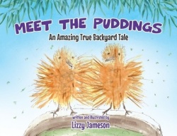 Meet the Puddings - An Amazing True Backyard Tale