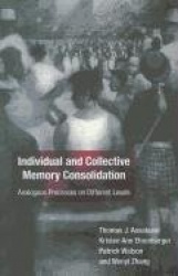 Individual and Collective Memory Consolidation - Analogous Processes on Different Levels