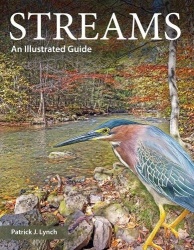 Streams - An Illustrated Guide