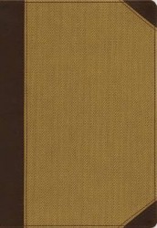NIV, Cultural Backgrounds Study Bible, Personal Size, Leathersoft, Tan, Indexed, Red Letter Edition - Bringing to Life the Ancie