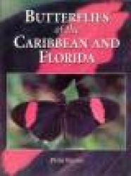 Butterflies of the Caribbean and Florida