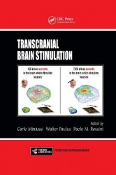 Transcranial Brain Stimulation