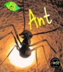 Ant