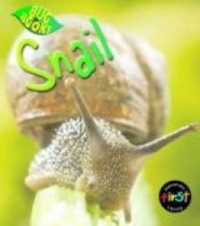 Snail