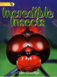Literacy World Satellites Non Fict Stg 1 Guided Reading Cards Incredible Insects Fwk 6pk