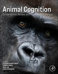 Animal Cognition - Fundamentals, Models, and Therapeutic Advances