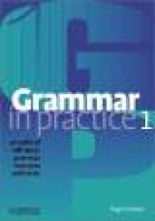 Grammar in Practice 1