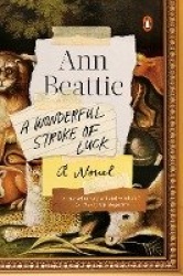A Wonderful Stroke of Luck - A Novel
