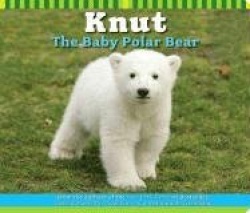 Knut the Baby Polar Bear
