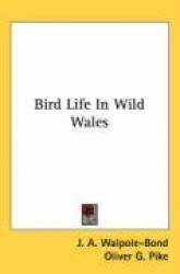 Bird Life in Wild Wales