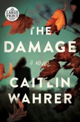 The Damage - A Novel