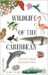 Wildlife of the Caribbean