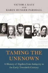Taming the Unknown - A History of Algebra from Antiquity to the Early Twentieth Century